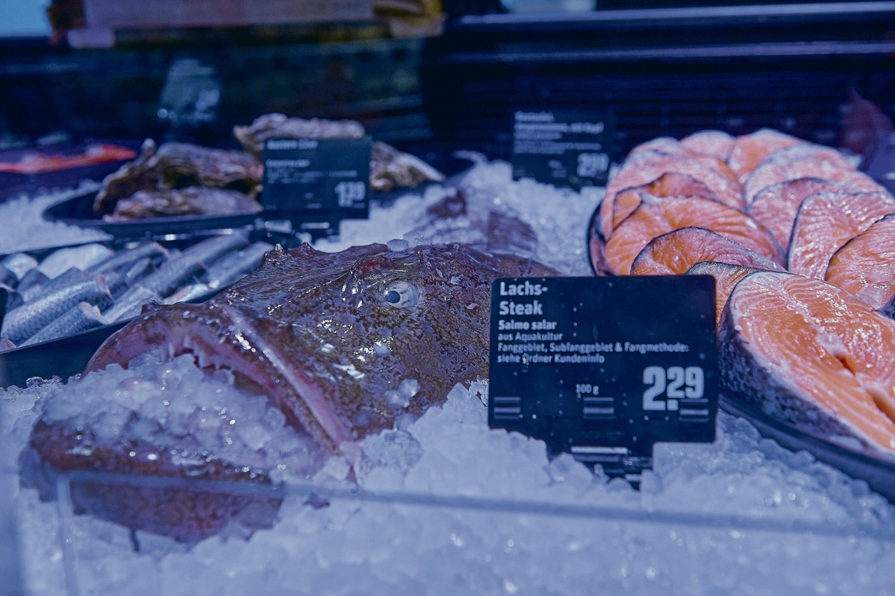 Maritime economy | Appetite for global fish