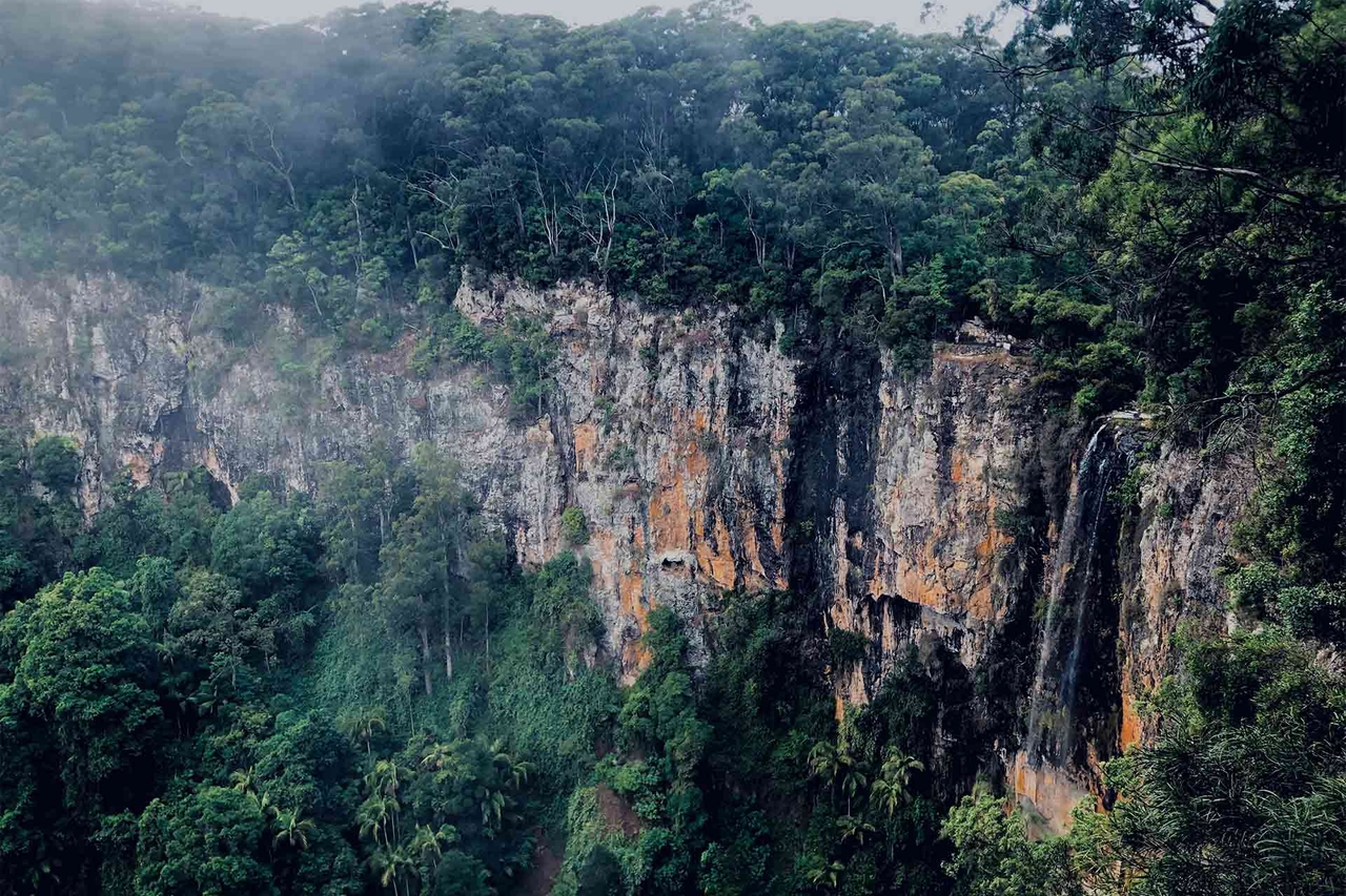 The Best Springbrook National Park Walks, Queensland