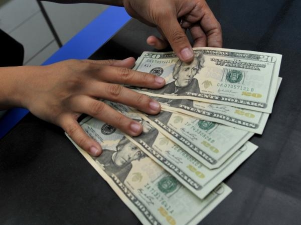 Dolar odnotowuje kolejny dzień stabilnych cen pomimo dużej niepewności na świecie.