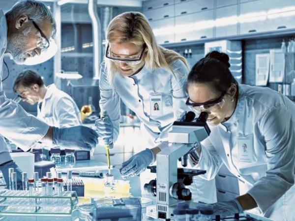 Revelan una pista sobre el misterio de la regeneración de extremidades