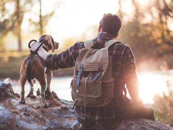 Waarom uw hond uw beste bondgenoot kan zijn voor fysieke activiteit