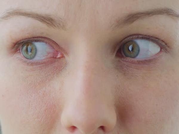 Was bedeutet es laut der Wissenschaft, wenn Ihnen jemand beim Sprechen nicht in die Augen sieht?