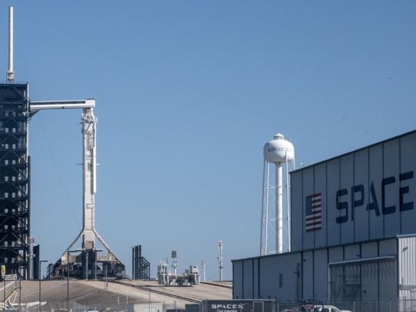 На мексиканском пляже среди обломков SpaceX живут находящиеся под угрозой исчезновения черепахи.