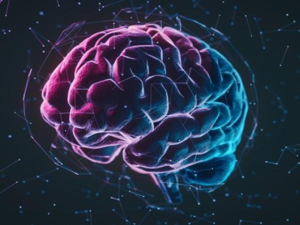 Nem analítico nem criativo: especialistas desmascaram uma velha teoria sobre o cérebro