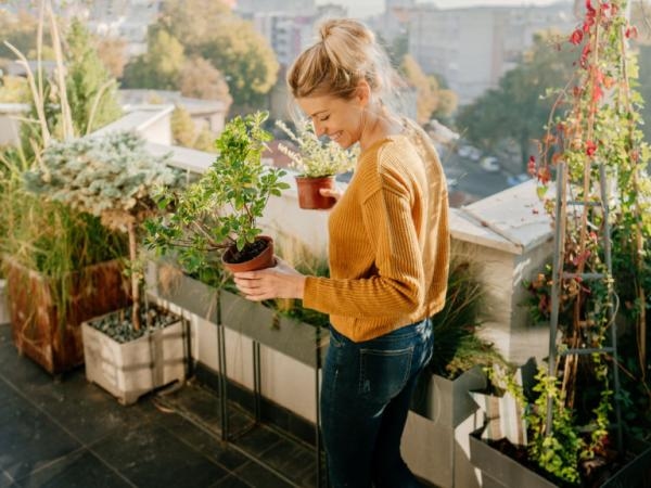 Las 6 plantas para tener en un balcón (duran todo el año y con todos los climas)