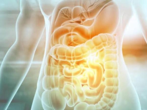 Así debe cuidar su microbiota intestinal: proteja su organismo de todo mal