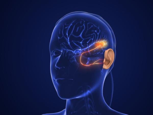 Voici comment l’audition et l’équilibre influencent l’apprentissage et la santé mentale
