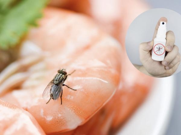 Ahuyéntelas de una vez: tres remedios caseros para eliminar las mocas de su vista