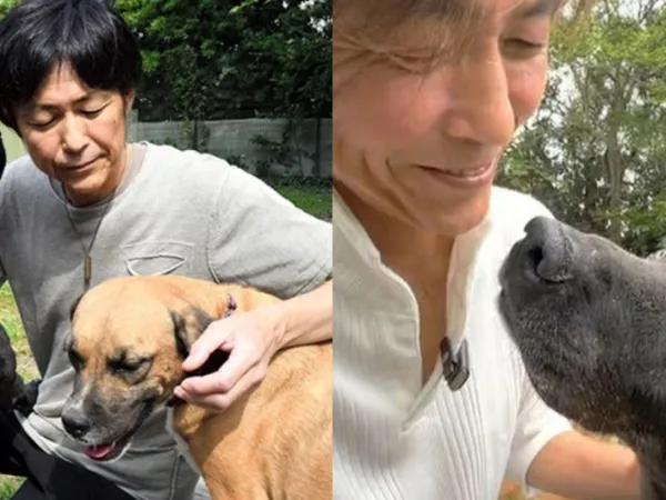 Herzerwärmend: Hund rettete ihn vor Depressionen, verkaufte seinen Ferrari und eröffnete ein Tierheim