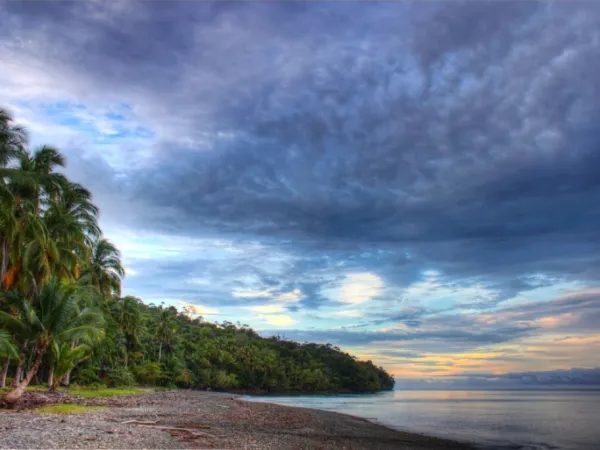 Guapi, the Cauca town that cooks the sea in every dish and that everyone should know