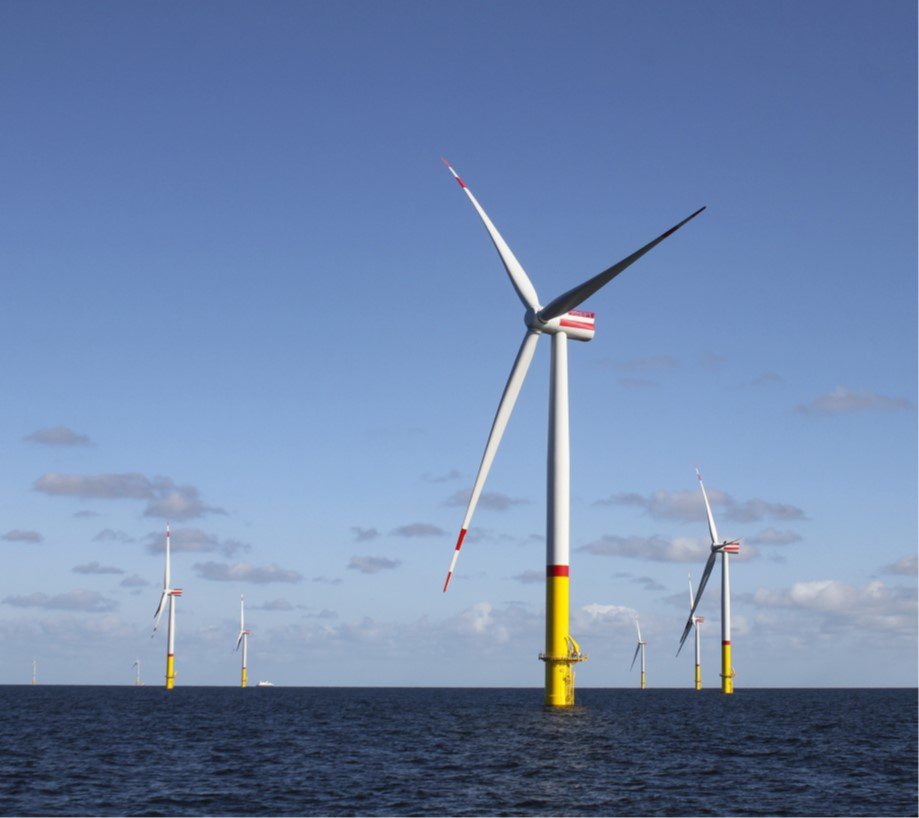 17 States Sue Trump Over Halt to Wind Energy Projects