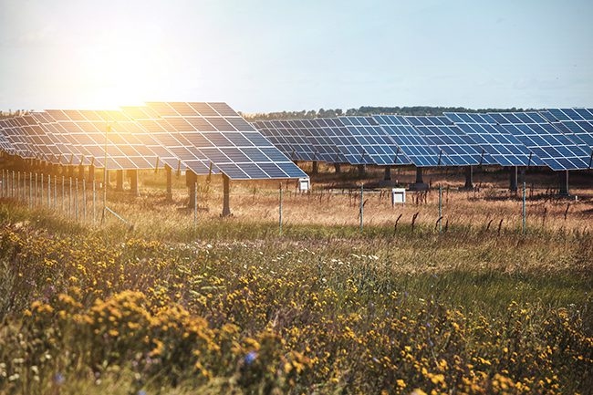 AES e Meta assinam PPAs para 650 MW de energia solar no Kansas e no Texas