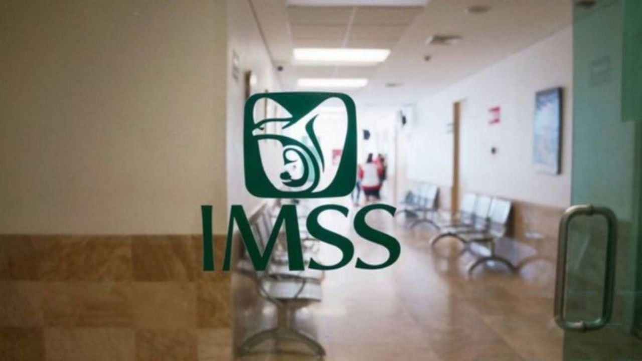 Verdachte biedingen bij IMSS Veracruz, een patroon van favoritisme in 14 staten