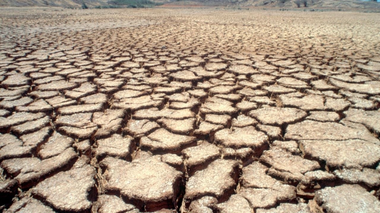 Região dos Vales de Yaqui e Mayo: Semeiam trigo e colhem dívida e incerteza