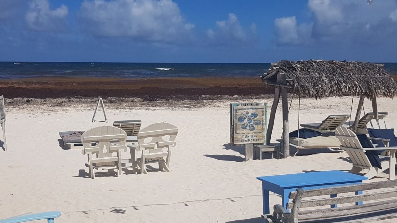 Krise in Tulum: Händler entschuldigen sich bei Touristen für Misshandlung und überhöhte Preise.