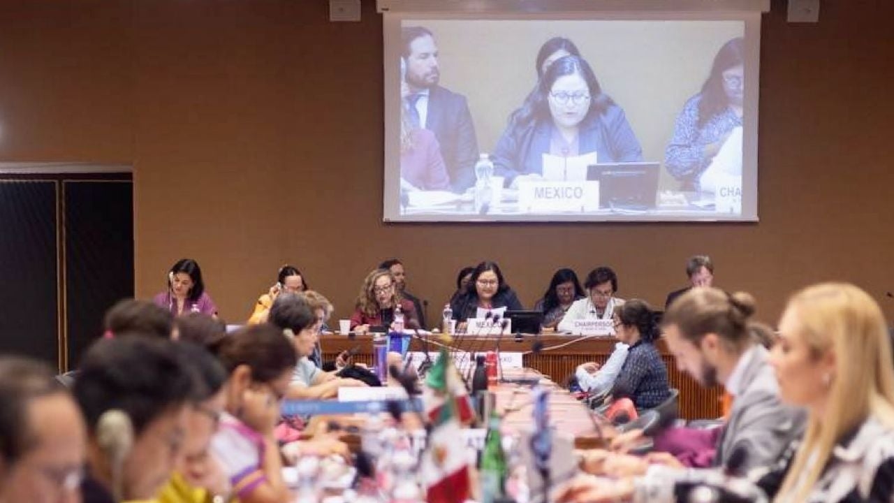 NGO's dringen er bij Sheinbaum op aan de aanbevelingen van het VN-Comité voor de uitbanning van discriminatie van vrouwen ter harte te nemen.