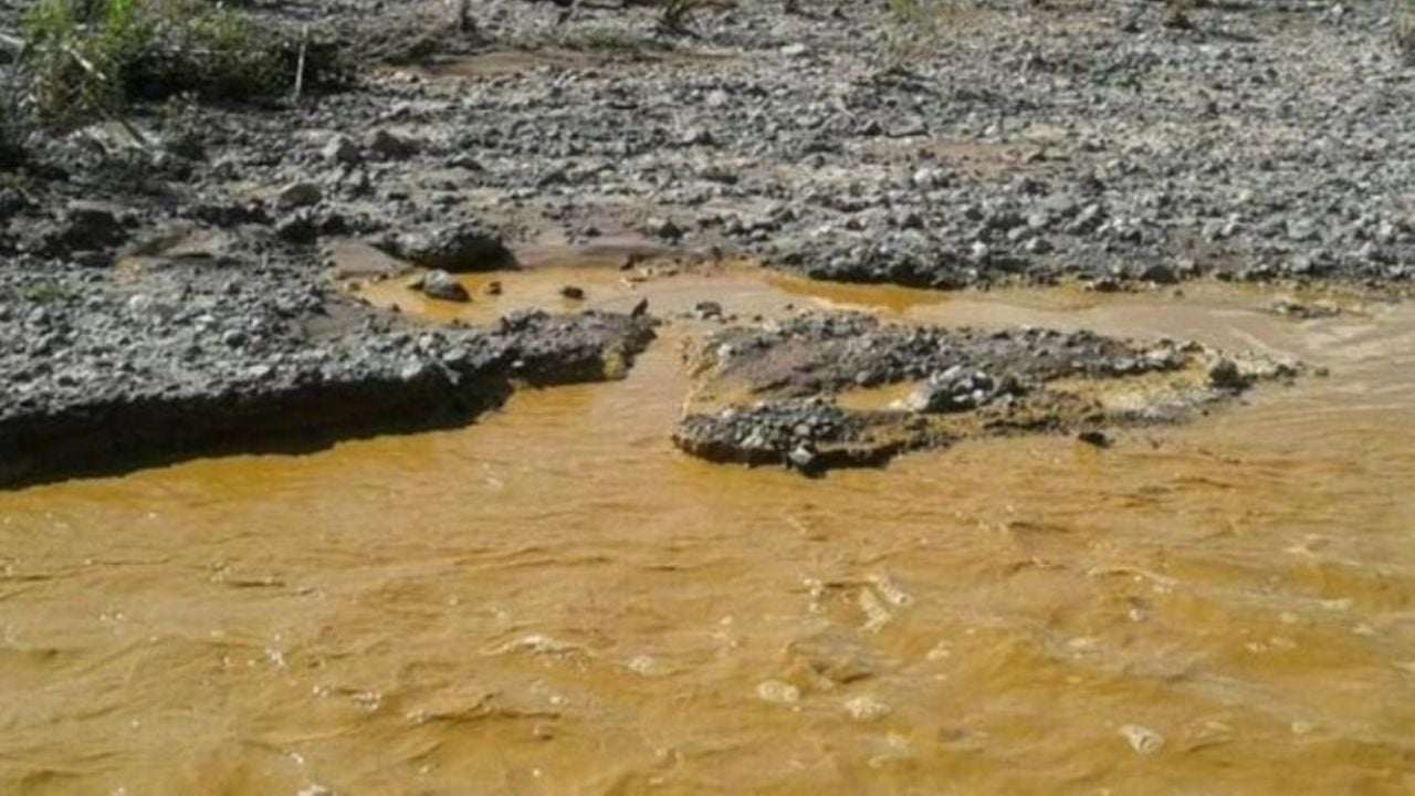 Eleven years after the toxic spill in the Sonora River, committees denounce abandonment by the federal government.