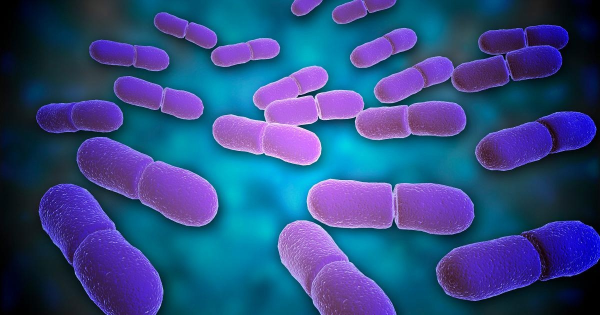 Carrefour Italia recalls three products due to microbiological risk from listeria.