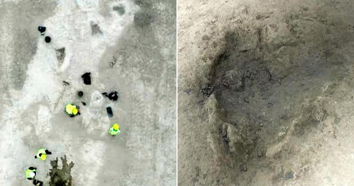 „Ścieżka dinozaurów” staje się coraz dłuższa: w kamieniołomie, który kiedyś był laguną, odkryto ponad 200 metrów śladów stóp
