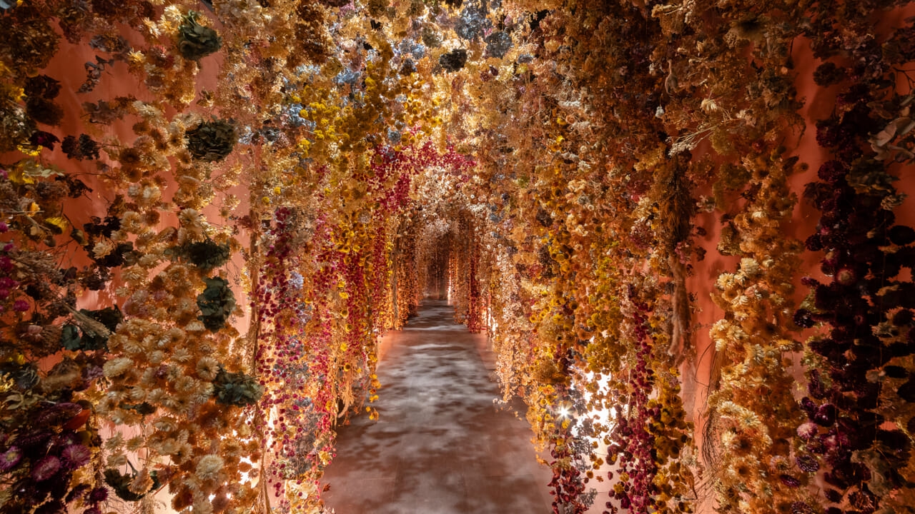 "Flores", el Chiostro del Bramante celebra las flores con la mayor exposición italiana dedicada a ellas.