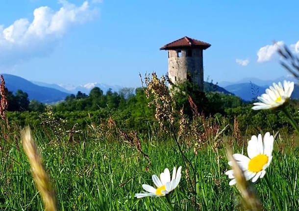 O que fazer no fim de semana - O que fazer em Varese e na região de Varese no fim de semana de 9, 10 e 11 de maio - Varese Laghi - Notícias de Varese