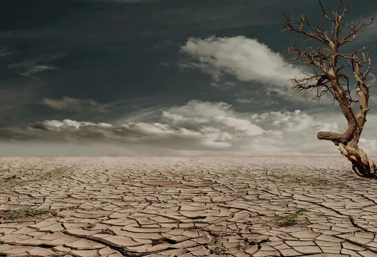 Aquecimento global: mais de 100 milhões de crianças expostas ao risco de ondas de calor