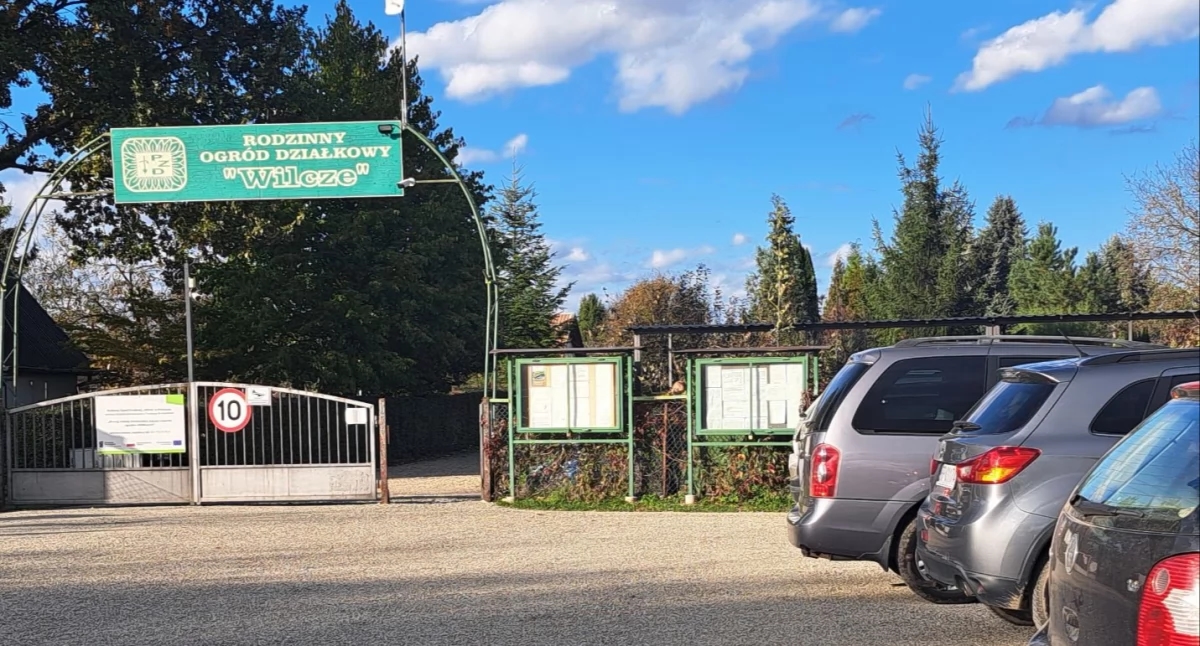 Tormenta en ROD Wilcze. La junta de jardinería destituida tenía previsto retirarse de la asociación de jardineros del huerto. ¿Seguirá el nuevo este camino?