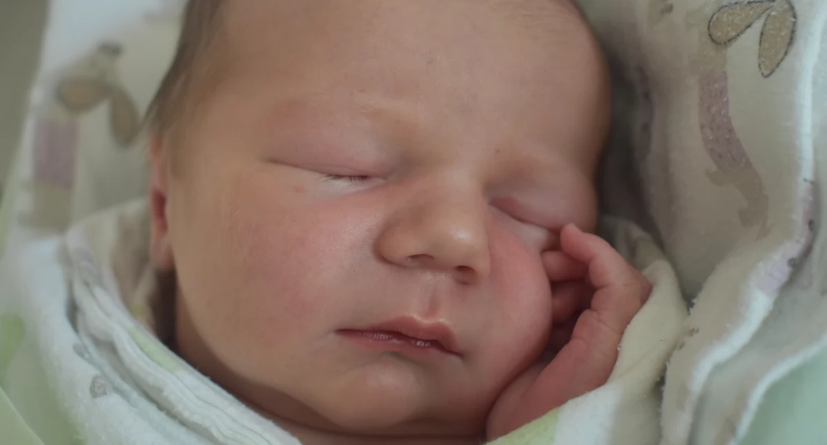 BABY OF LIFE (babies from number ŻP 24 from June 11)