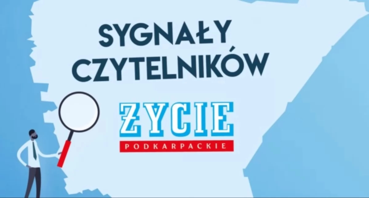 Zwaluwen en stadsontwikkeling