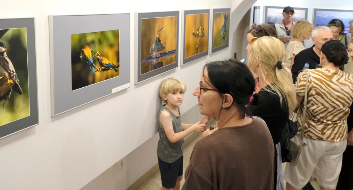 Aves - Tentoonstelling van Elżbieta Rogaczewska-Czępińska