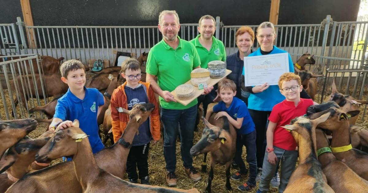 Сен-Ромен-ле-Пюи. «Забота о сыре»: золотые секреты производства тома на ферме в самом сердце региона Форе.