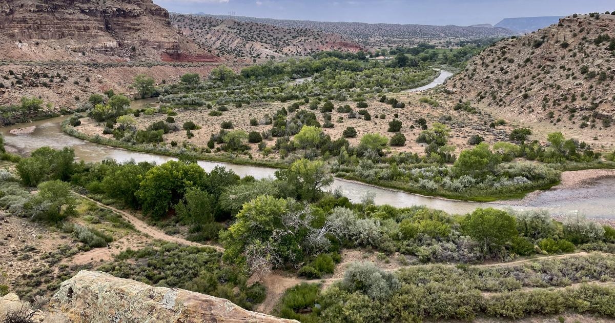 Like the smell of chocolate in the desert