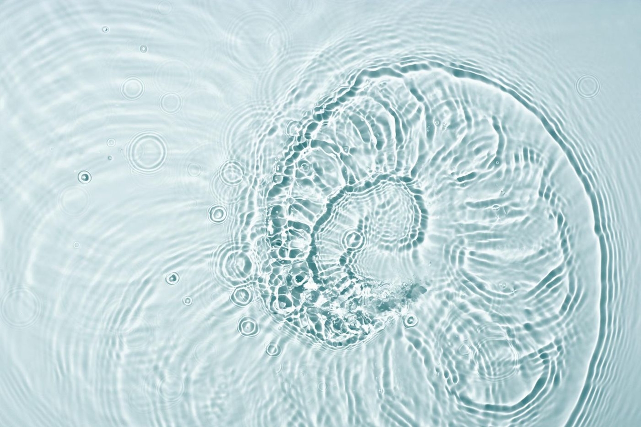 “Ghost DNA, when the invisible leaves traces”: the naturalist and technology