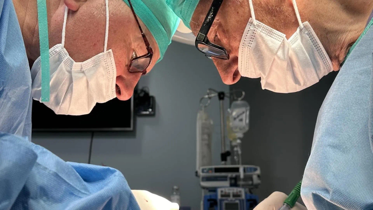 Eles conseguiram o primeiro transplante de rins modificados com organoides humanos em porcos.