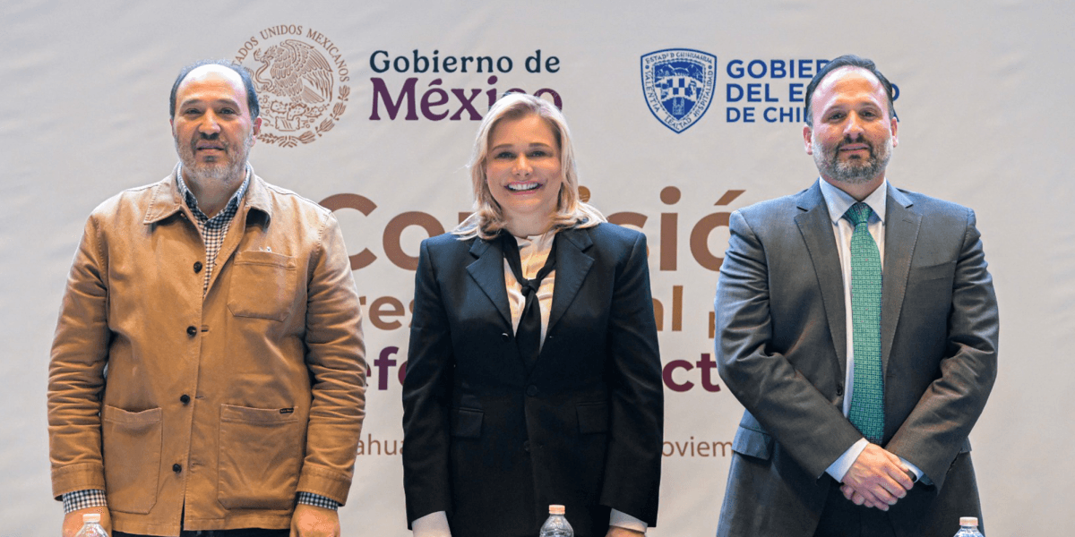 Qualquer reforma eleitoral que vise fortalecer a República deve ser construída com o consenso das entidades: Maru Campos