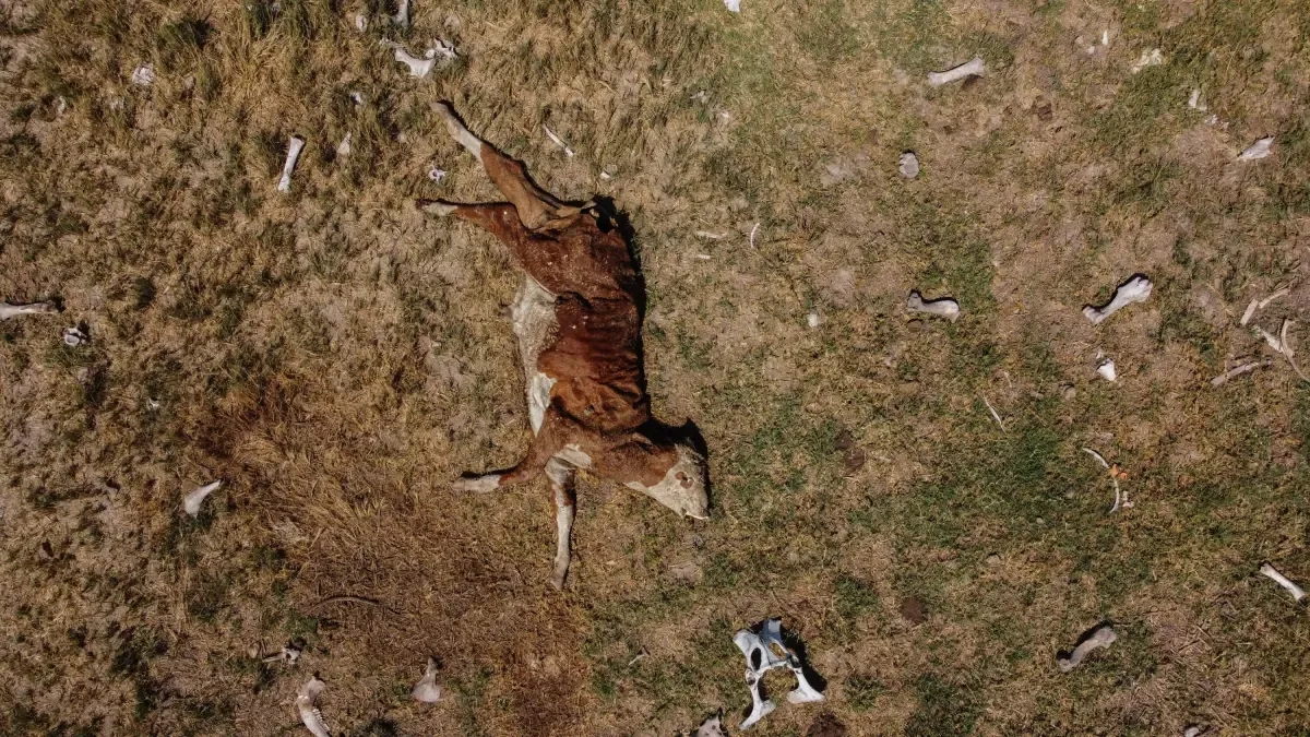 Dünya, iklim krizine uyum sağlamak için gereken kaynaklardan mahrum kalıyor: Açık 300 milyar doları aşıyor