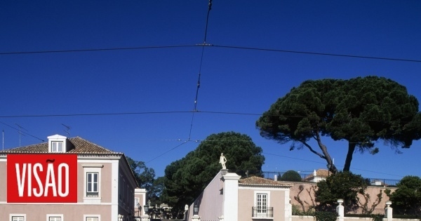 Élections présidentielles prévues le 18 janvier.