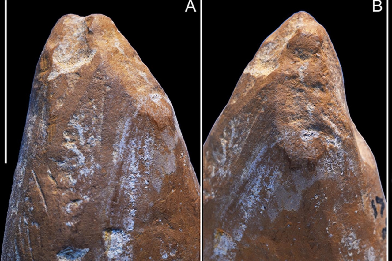 Los neandertales utilizaron ocre en Crimea hace más de 50.000 años.