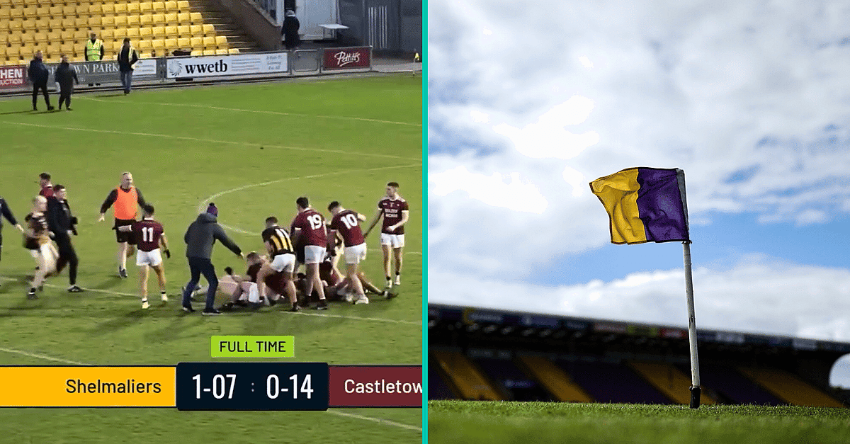 Ugly Scenes As Scrap Breaks Out At The End Of Wexford Senior Football Final