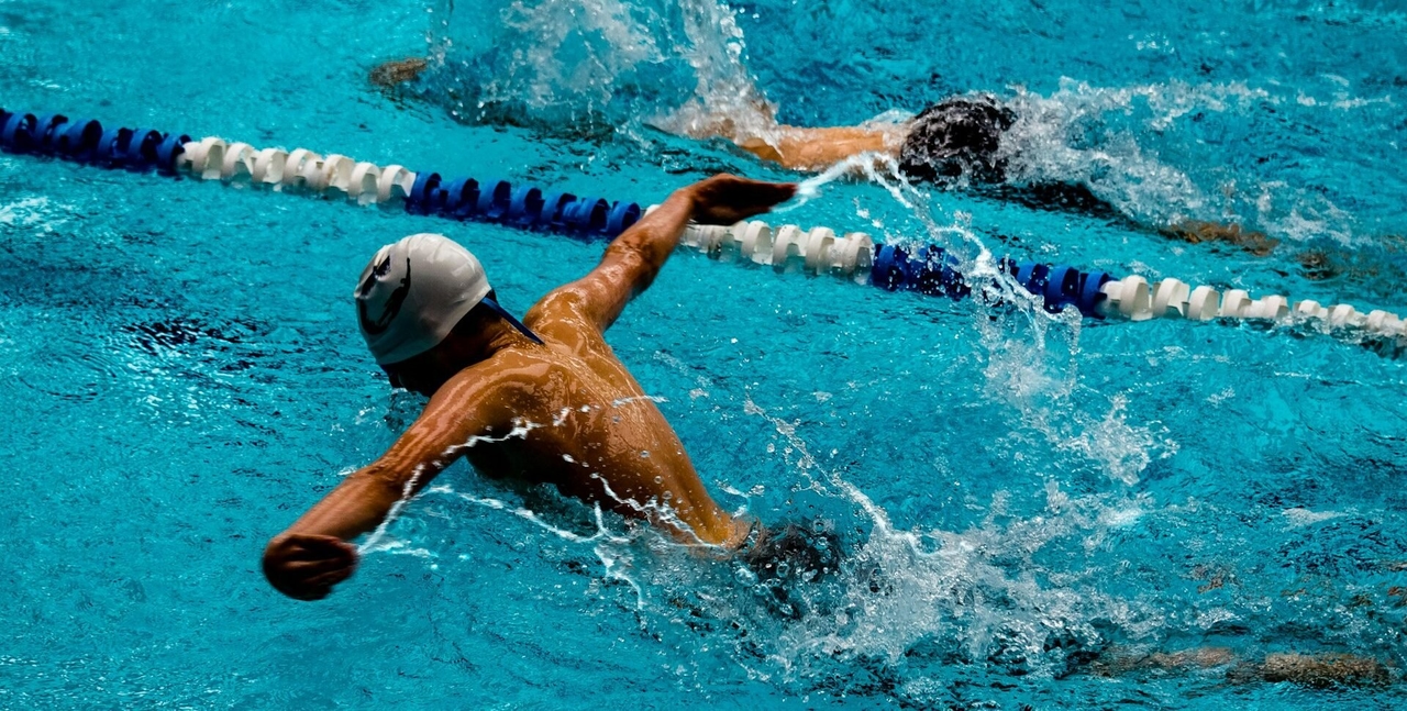 Albufeira ontvangt wereldtop tijdens de Algarve International Swimming Meeting.