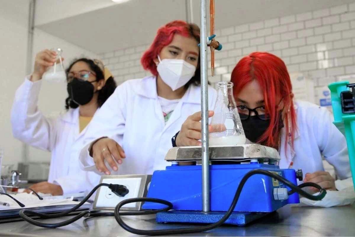 Solo 12.9% de mujeres en México se dedican a ciencia, tecnología e IA