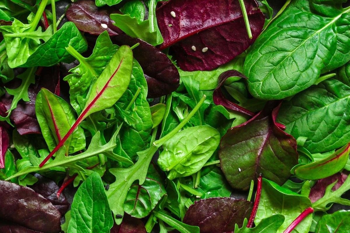 Салат: откройте для себя его неожиданные полезные свойства