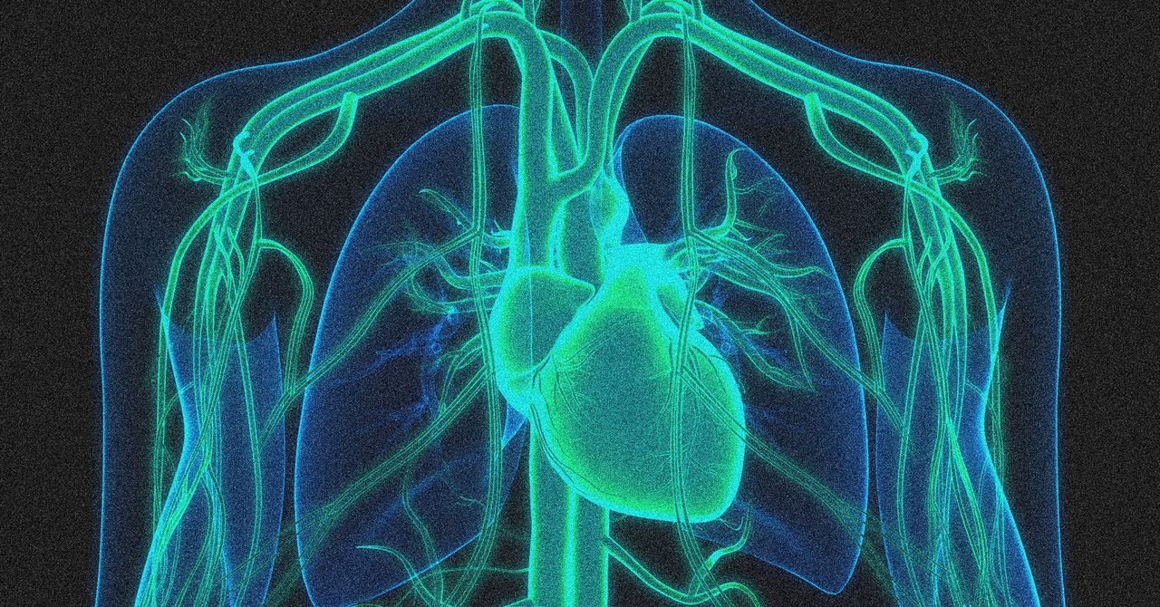 Una terapia de edición genética redujo los niveles de colesterol a la mitad.