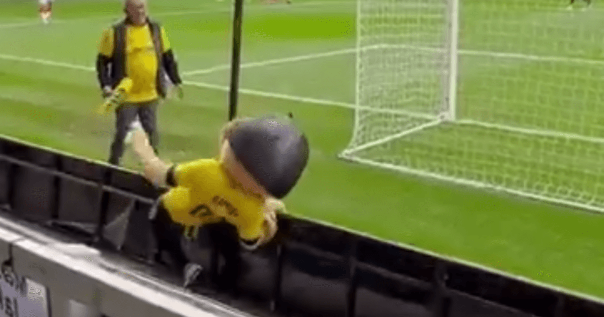 Mascotte van Engelse club wordt van het veld verwijderd vanwege vermoedelijke dronkenschap.