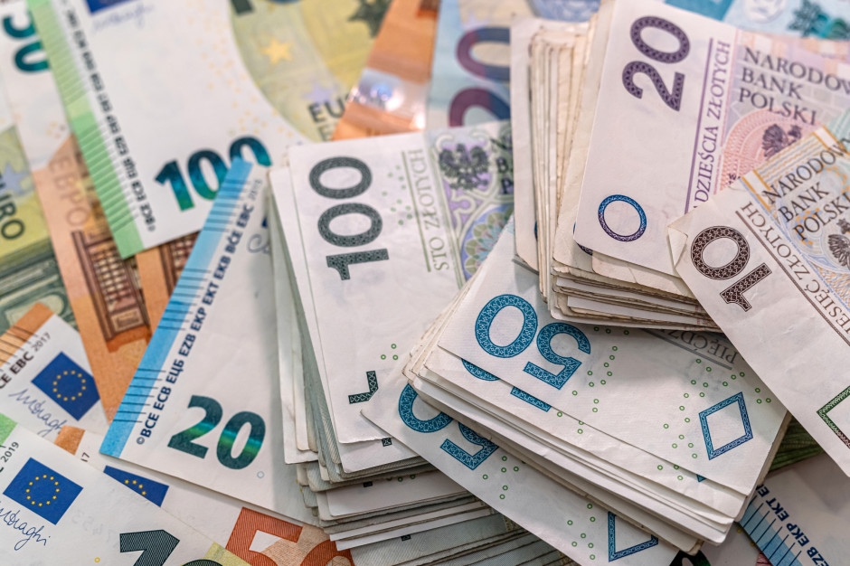 They entered the eurozone and assessed the price response. The comparison with Poland is surprising.