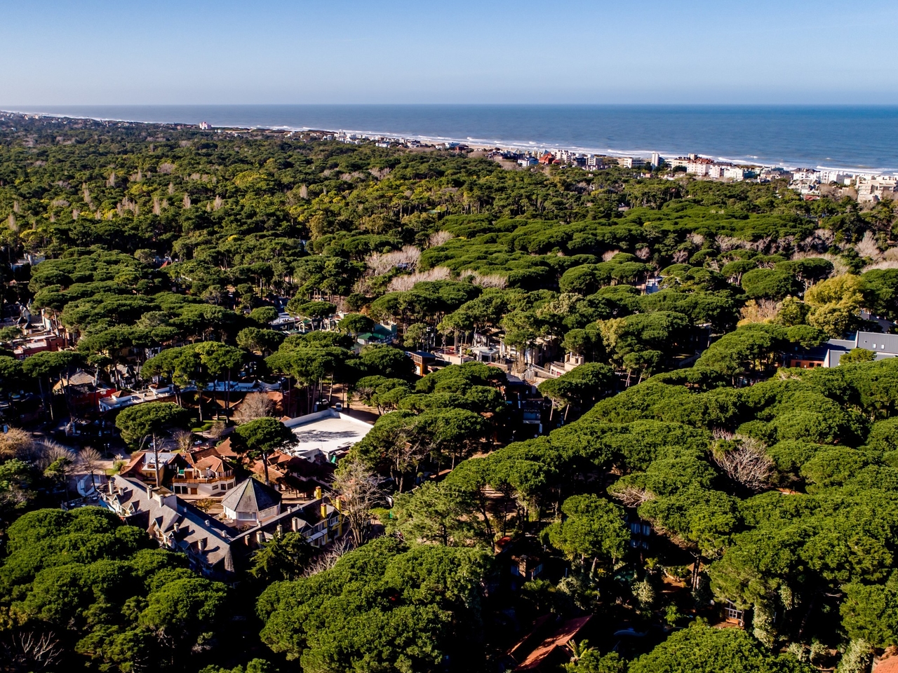 Inny rodzaj weekendu w Cariló: terapia leśna, tybetańskie misy śpiewające i warsztaty dla złamanych serc