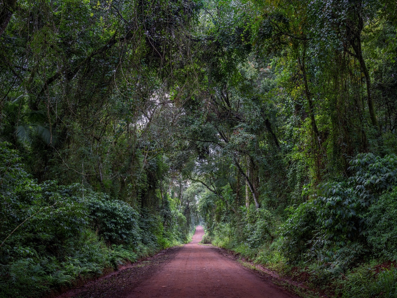 L'ultime frontière du luxe dans la forêt tropicale de Misiones : un lodge spectaculaire où chaque villa dispose d'une piscine privée et où les excursions sont organisées sur mesure.