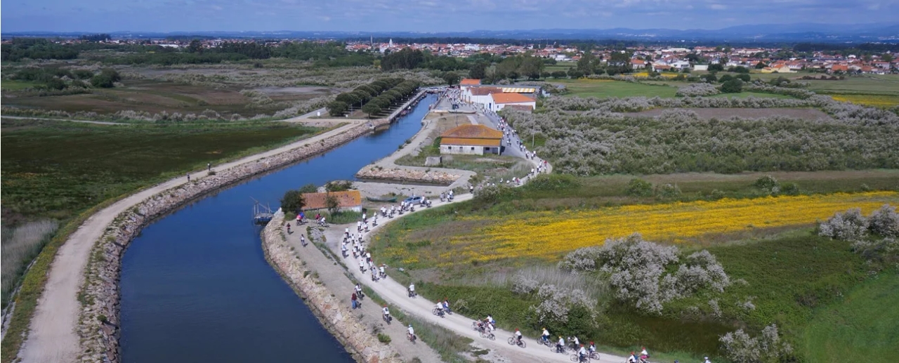 De positie van Murtosa in het Gemeentelijk Financieel Jaarboek weerspiegelt 'streng management'