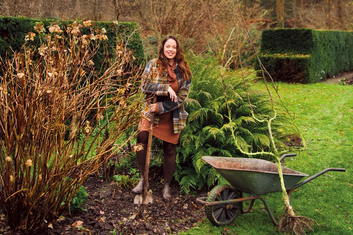 Küçük bir bahçeye de sığabilecek ağaçlar için uzman ipuçları