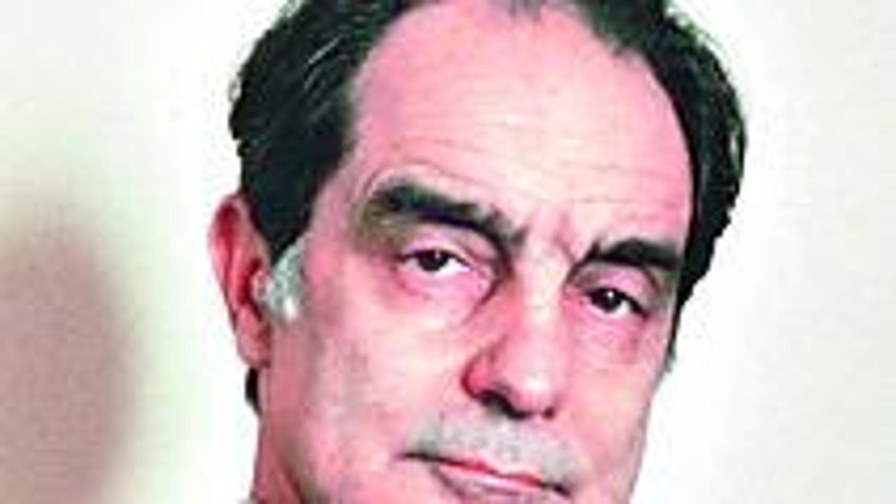 How Noble Is the Artist's Stealing. A Dialogue Between Pericoli and Calvino